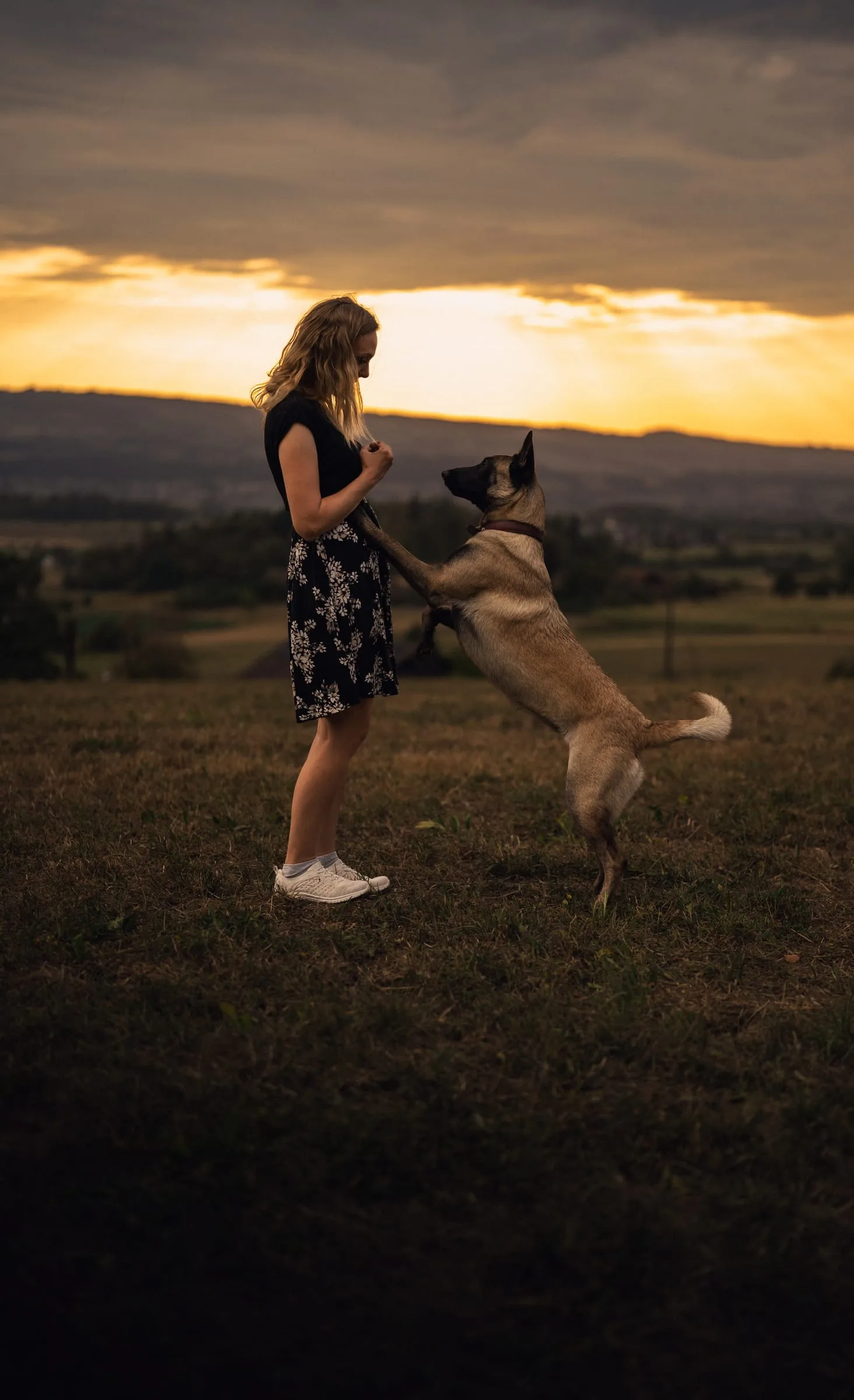 Die junge Malinois-Hündin springt vor Martina hoch, beide vor dem leuchtenden Abendhimmel