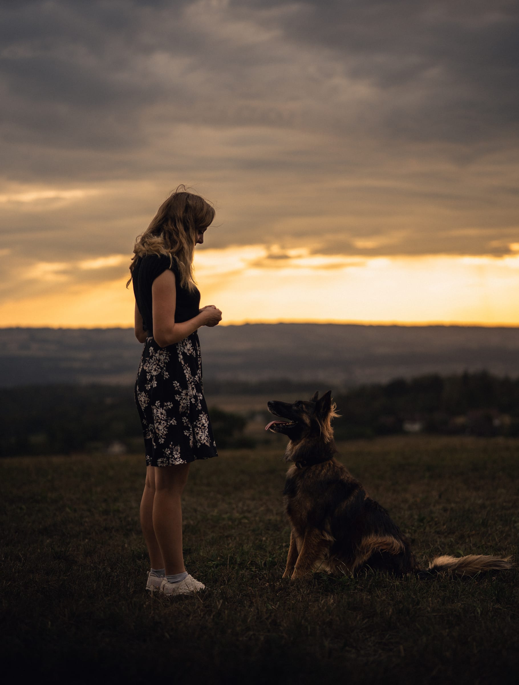 Martina steht vor der langhaarigen Schäferhund-Mischlingshündin, die vor ihr sitzt – Gewitterhimmel und Abendrot dahinter